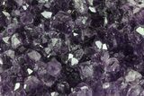 Purple Amethyst Cluster - Uruguay #66774-1